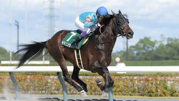 武豊、取りやめになったレースに対し「ジョッキーの進言を聞き入れて