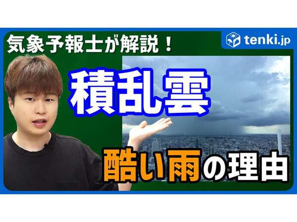 雨が降る雲はどれ？ 見分け方と積乱雲が大雨を降らせる理由も解説 - プラメポータル