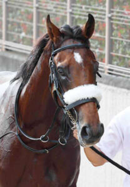 アーモンドアイ　帽子　引退馬　ウマ娘　キャップ　産駒アロンズロッド 注目馬動向】アーモンドアイの初子アロンズロッドが2月の箱根特別を