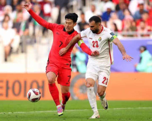 メプラミンの雄牛